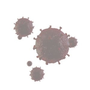 virus2